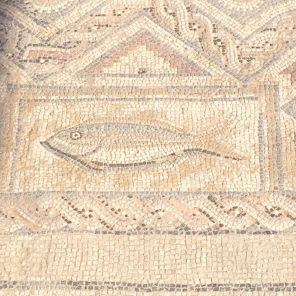 Fish Mosaic Detail at The House of Eustolios